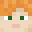 FLAGSlime