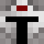 terry41